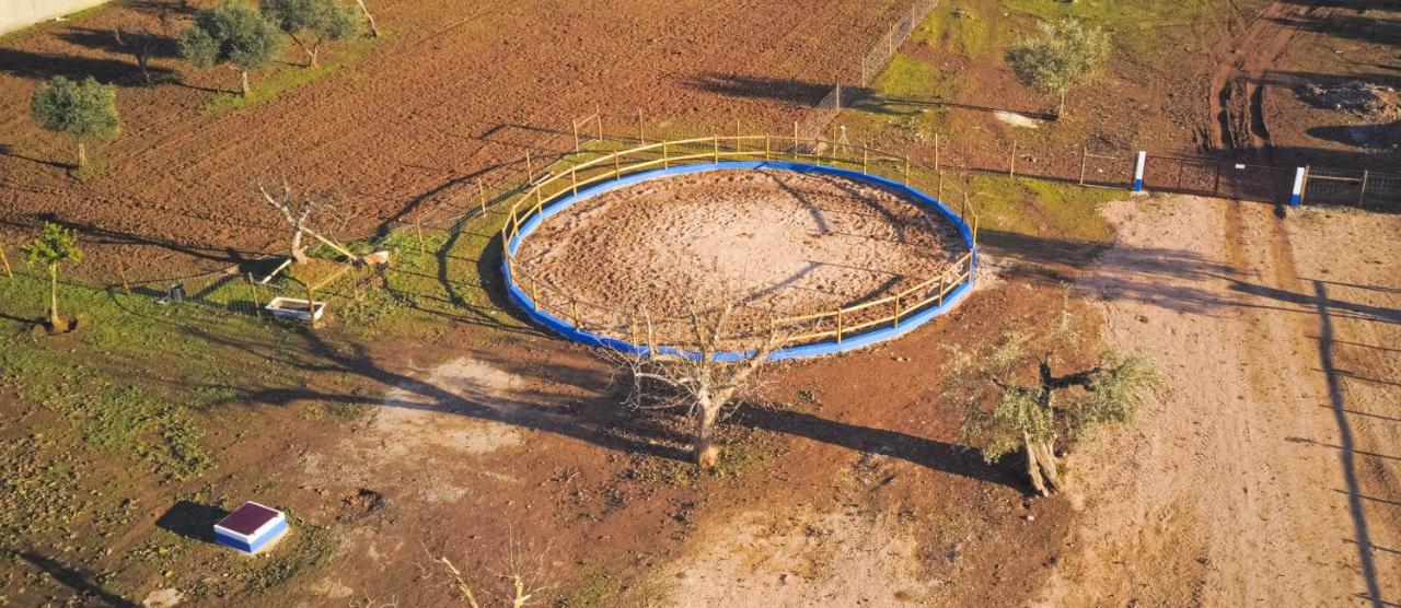 مبيت وإفطار إيستريموز Tapada Do Chafariz المظهر الخارجي الصورة
