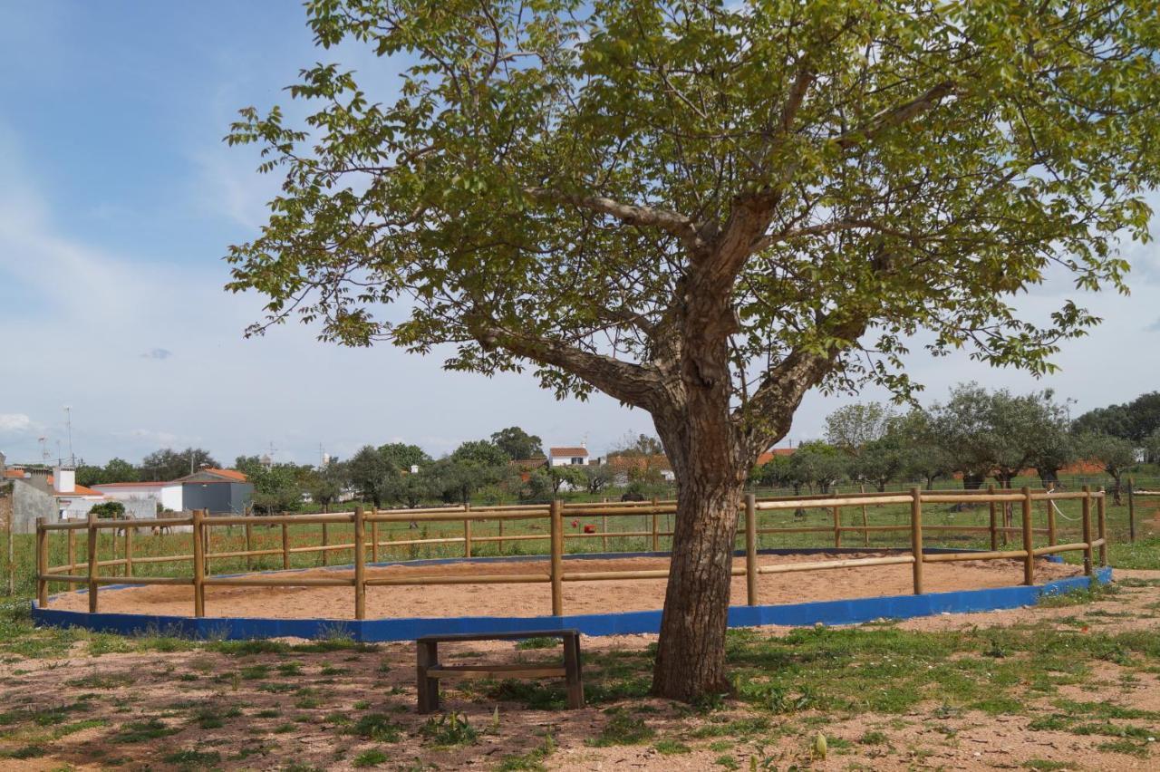 مبيت وإفطار إيستريموز Tapada Do Chafariz المظهر الخارجي الصورة